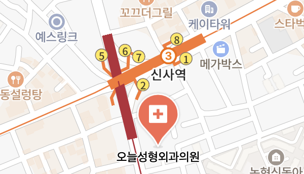서울 강남구 논현동 근처 이비인후과 | 예약, 연세이비인후과, 진료시간, 전화번호, 위치, 후기 완벽 정리 5 오늘성형외과의원 이비인후과 위치